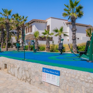 Outdoor fitness park with exercise equipment surrounded by palm trees and Mediterranean-style buildings in a tropical setting.