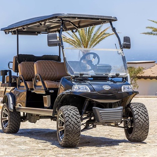 Cruise the property grounds in style with this sleek golf cart, set against coastal views and palm trees—your convenient transportation for exploring the surrounding area.