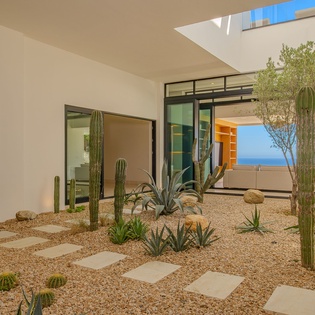 Modern desert oasis courtyard with sculptural cacti and ocean glimpses beyond sleek glass walls.