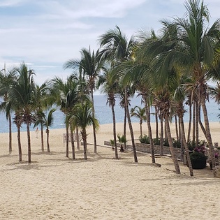 Pristine beach with swaying palm trees and golden sand stretches toward turquoise waters, offering the perfect tropical escape.