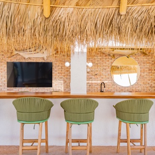 Palapa bar area