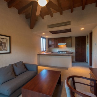 Bonus room with sitting area and kitchen