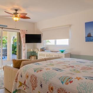 Bedroom suite with patio access