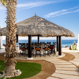 Patio with palapa