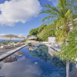 Your private paradise awaits with this stunning infinity pool surrounded by swaying palms and ocean views.