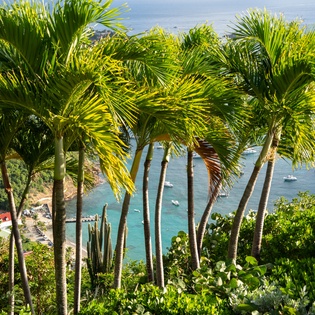 exterior-1-ahava-track7