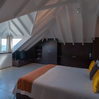 Image_Large (9)