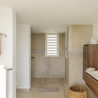 primary-bathroom-only-view-track2