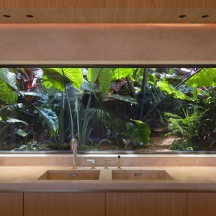 Wake up to your own tropical paradise through this stunning kitchen window—lush greenery creates your private garden sanctuary.
