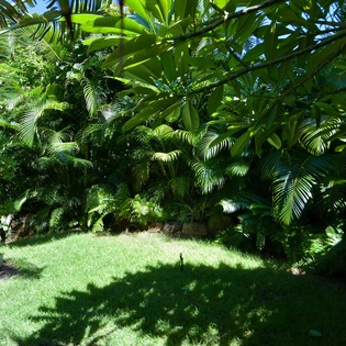 7-St-Barts-Villa-RFLext04