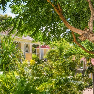Charming tropical buildings nestled among lush palms and vibrant greenery create a peaceful island atmosphere.