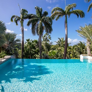 01-LesPalmiersBleus_Pool