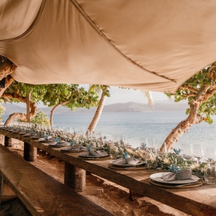 turtle-beach-dining-2-track16