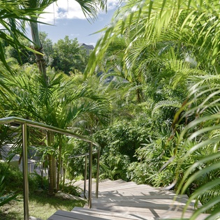 A lush tropical pathway leads through swaying palms and vibrant greenery, creating your own private paradise walkway.