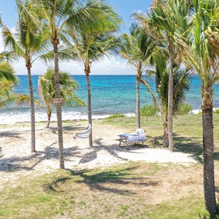 exterior 1-Luffy-track2