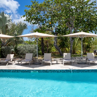 Crystal-blue pool surrounded by lush tropical gardens and shaded loungers, perfect for soaking up the sun or cooling off in paradise.