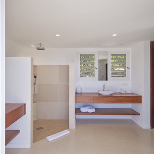 Unwind in your private spa-like bathroom featuring a sleek walk-in shower and elegant wood vanity with garden views.