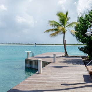 exterior-1-the-catch-track5