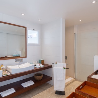 bathroom-1-Blue Diamond-track1