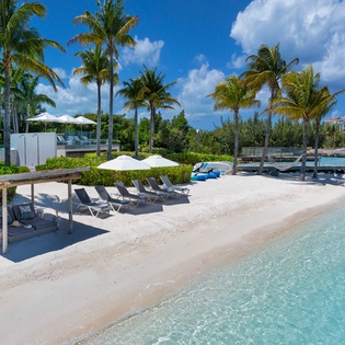 Pristine beachfront location with crystal-clear waters and swaying palms creating the perfect tropical paradise setting.