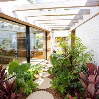 Step into your private tropical oasis, where lush palms and vibrant plants create a serene pathway to your glass-walled retreat.