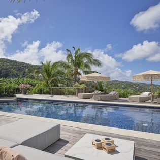 Dive into your private paradise with this stunning infinity pool surrounded by tropical palms and mountain views.