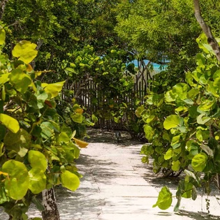 Beach at IE BAR, Thompson Cove, Turks & Caicos