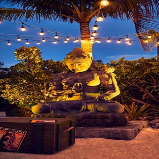 A serene Buddha statue surrounded by tropical palms and twinkling string lights creates a peaceful ambiance for your evening meditation.