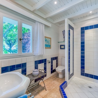 bathroom-2-pamplemousse-track1