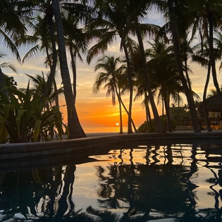 Tropical paradise awaits with a pristine pool reflecting swaying palms and golden sunset skies—your perfect evening retreat.