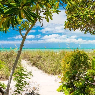 Beach at IE BAR, Thompson Cove, Turks & Caicos