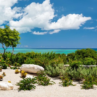 5-Beach Wood Villa_06