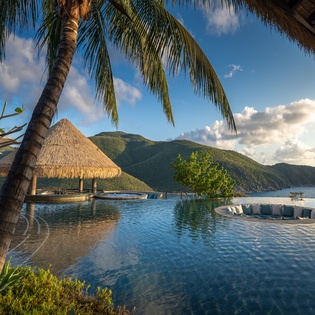Tropical paradise infinity pool with mountain views, thatched pavilion, and palm trees creating an idyllic waterfront escape.