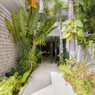 A welcoming tropical entrance pathway lined with lush palms and exotic plants leads to your private retreat.