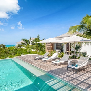 Tropical paradise with pristine pool, ocean views, and swaying palms creating the perfect Caribbean escape.