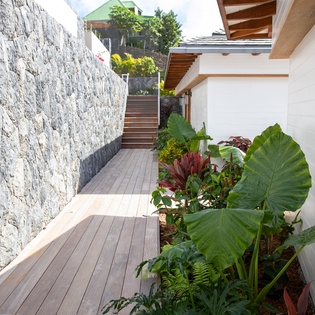 Tranquil garden pathway leads to your private retreat, where lush tropical plants create a serene escape between modern architecture.