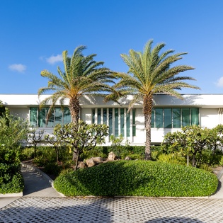 Modern white villa surrounded by lush tropical gardens with towering palm trees under brilliant blue skies.