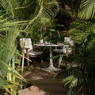 Escape to your private tropical dining nook, where lush palms create an intimate jungle retreat for memorable meals.