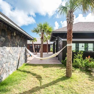Modern tropical retreat with palm-shaded hammock and lush greenery—your private courtyard oasis awaits under blue skies.