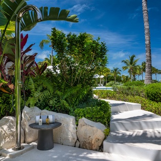 Sunlit pathways wind through lush tropical gardens, where palm trees sway and vibrant foliage creates a serene escape surrounded by natural beauty.
