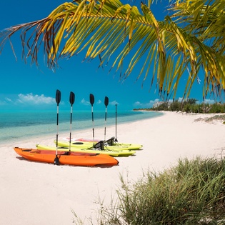 Pristine tropical beach with colorful kayaks ready for adventure beneath swaying palm trees.