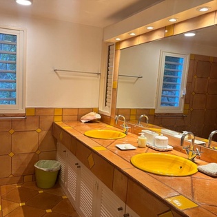 bathroom-3-la-desirade-track1