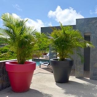 ENTWV APK, Flamands, St. Barthelemy
