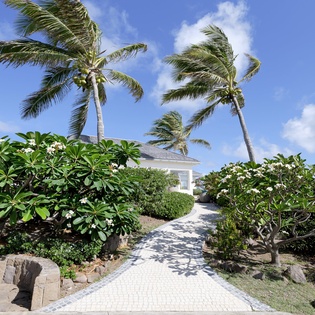 A sun-drenched path winds through lush tropical gardens, where palm trees sway overhead and fragrant plumeria blossoms frame your route to the beach house.