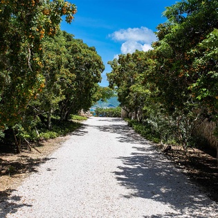 45-Jasper-Driveway