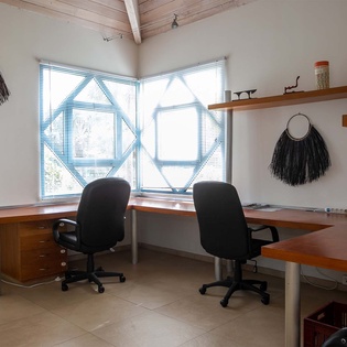 38-LesPalmiersBleus_Office