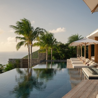 Infinity pool with panoramic ocean views and tropical palms creates the perfect tropical escape backdrop.