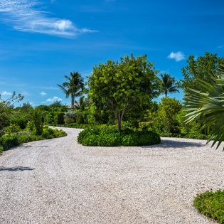 A tranquil gravel drive winds through lush tropical landscaping, framed by swaying palms and vibrant greenery beneath brilliant blue skies.