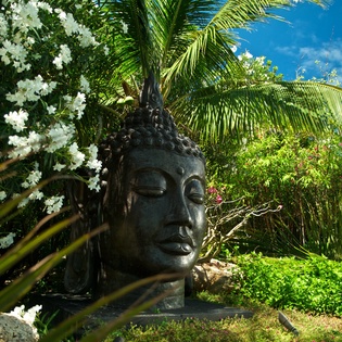 A serene Buddha statue sits nestled among tropical blooms and palm fronds, creating your own peaceful meditation sanctuary.