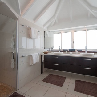Image_Large (12)
